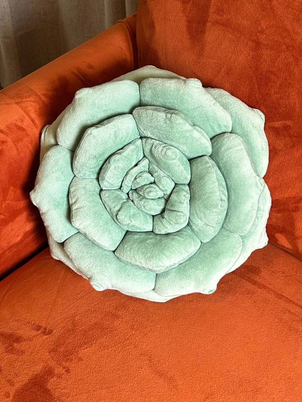 Audacious Hippo soft audacious